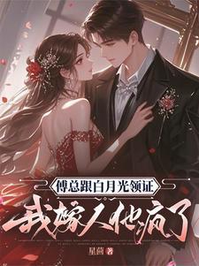 傅先生的白月光傅时漠