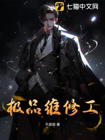 极品维修工全集